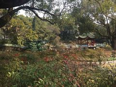 -申粤轩酒楼·三十年粤菜经典(丁香花园店)
