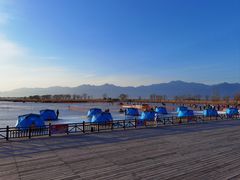 -野鸭湖国家湿地公园