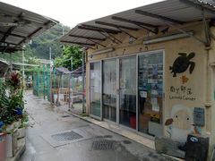 -南丫岛