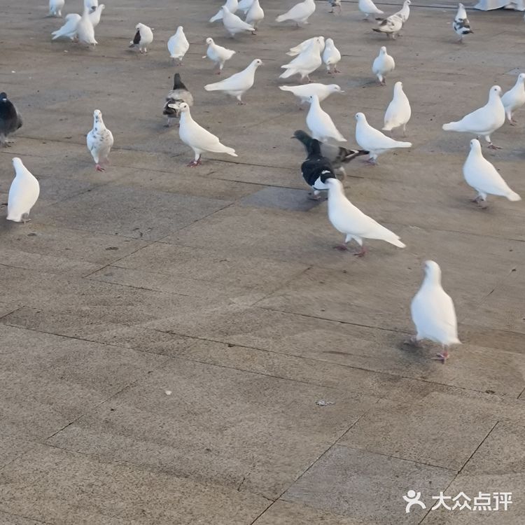 特别是到了晚上，所有店家的灯光打开后特别好看哦