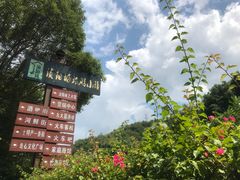 -浈阳坊旅游小镇