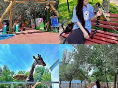 -水上乐园·欢乐世界