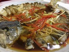 -煲来饱去冷水鱼