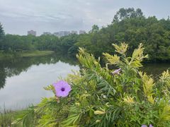 -福州大学(旗山校区)