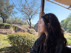 -奥兰多迪士尼动物王国乐园