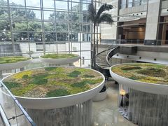 -上海外滩茂悦大酒店