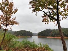 -千岛湖龙川湾