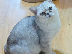 -觅时光手作·香薰·拼豆豆·陶艺DIY