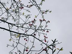 -火炉山森林公园