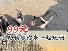 -前小桔亲子创意农场·草莓采摘·露营烧烤