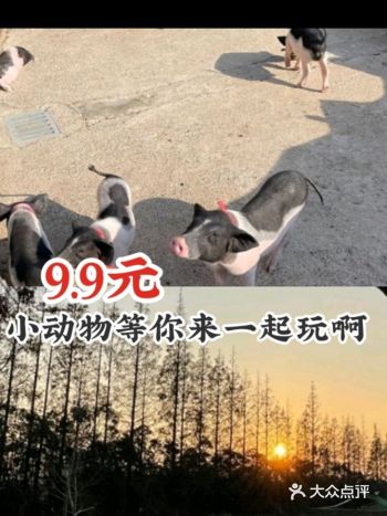 生活在大城市的孩子很少与大自然进行接触，所以啊