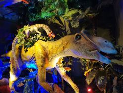 -恐龙探索乐园(磁器口店)