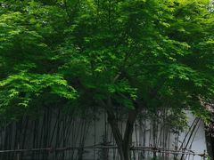 -浙江省博物馆(孤山馆区)