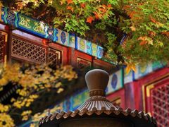 -香山公园