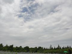 -同里国家湿地公园