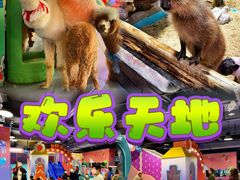 -顺德南宏海立方海洋公园
