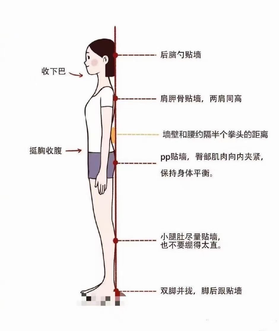 任何瑜伽的体式都有瑜伽山式做基础,来学习瑜伽山式