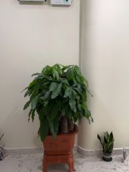 -海涛医疗美容·面部抗衰·注射美鼻