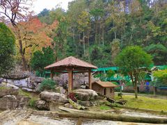 -黔灵山公园