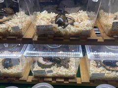 -上海跨国采购会展中心