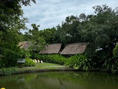 -大象粑粑造纸公园