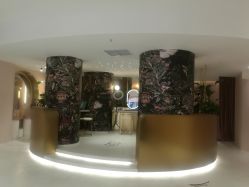 -本小姐美学·半永久纹眉野生眉