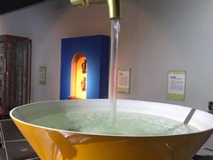 -陕西自然博物馆