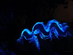 -中国湿地博物馆