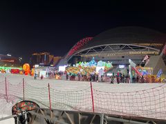 -沈阳奥体冰雪嘉年华