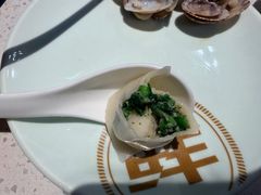 春·荠菜扇贝饺-船歌·鱼水饺青岛菜(金狮广场店)