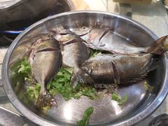 -丰尔粥食·粥底火锅·桑拿鸡(大良总店)