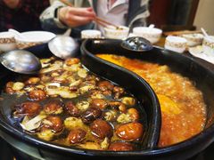 -乳仔牛牦牛汤锅 烤羊排(松潘古城店)