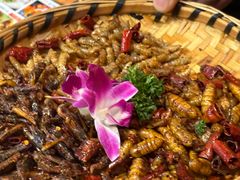 -老滇山寨•云南特色菜•地方菜•民族风情歌舞表演(金碧店)