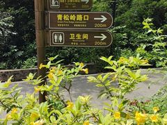-三门江国家森林公园