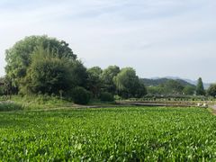 -白塔湖国家湿地公园