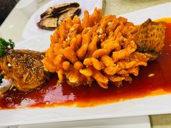 松鼠桂鱼-东四民芳餐厅(朝阳门店)