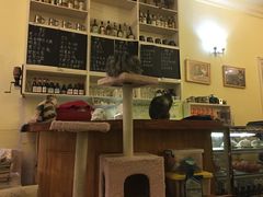 -猫色咖啡·猫咖