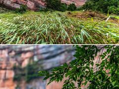 -赤水丹霞旅游区·佛光岩