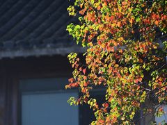 -老门东历史文化街区