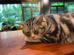 -咖法森林·咖啡  酒吧(天河店)