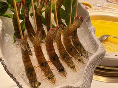 -领鲜天下·焗海鲜·花胶鸡(天目里店)