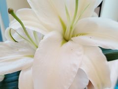 -四季餐厅(大寺店)