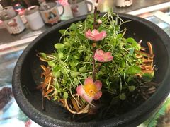 魔石咕噜鱼-人民公社大食堂(张家湾店)