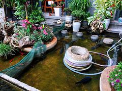 -海韵人家.海景花园经典云南菜(双廊店)