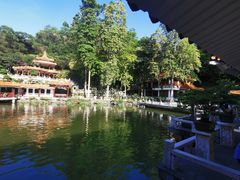 -深圳仙湖植物园