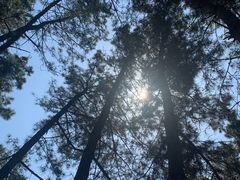 -昆嵛山石门里景区