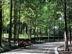 -苏州河梦清园环保主题公园