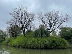 -西溪国家湿地公园