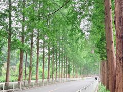-青城山