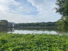 -紫马岭公园
